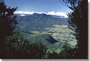Mt Warning from Merino Lookout