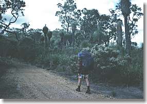A quiet road on the 'new' track