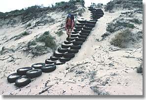 Tyre Stairway - Boat Harbour area