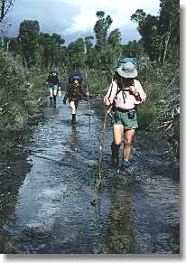 Old 'track' near Lake Maringup - this has been resited